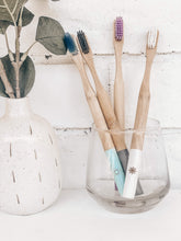 Load image into Gallery viewer, Biodegradable Eco Friendly &amp; Panda Friendly Bamboo Seasonal Toothbrush 4 Pack myeohouse