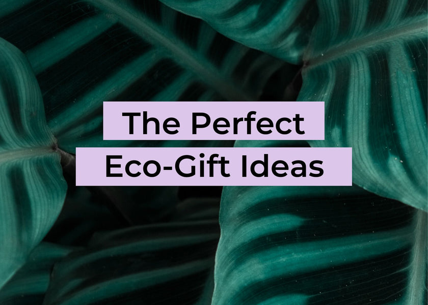 The Perfect Eco-Gift Ideas