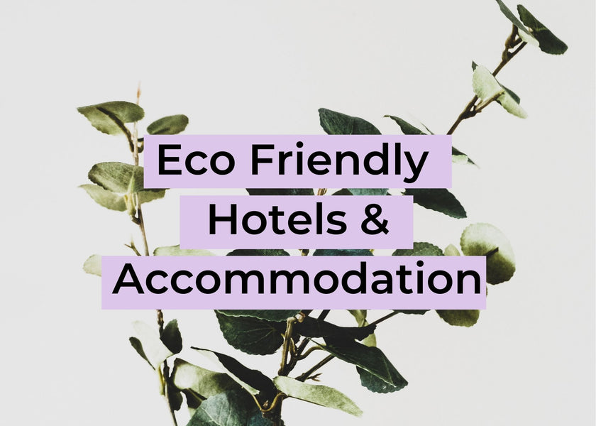Eco Friendly Hotels and Accomodation